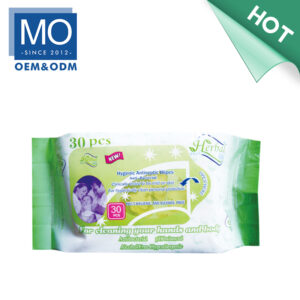 Personal Hand & Body Hygiene Sanitising Wipes